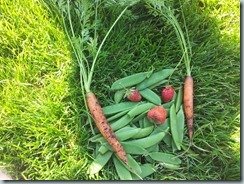 IMG_20120708_111232